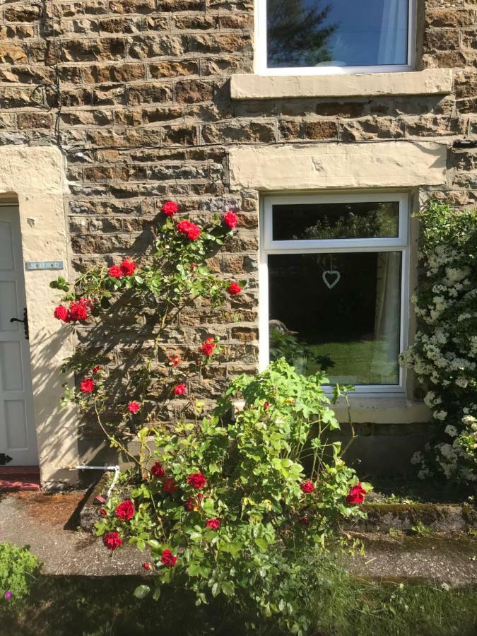 Mayfield Cottage Burtree Ford Экстерьер фото